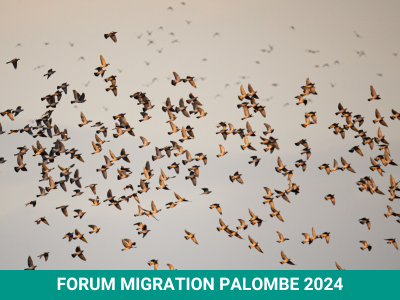 radio mendililia forum migration palombe 2024