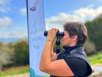 Comptage des palombes au Pays basque : une mission essentielle pour la biodiversité