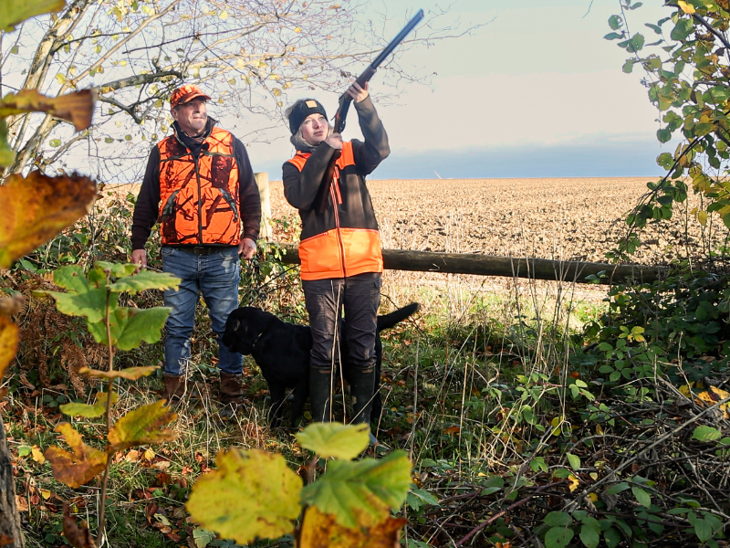 chasse accompagnée pyrénées-atlantiques