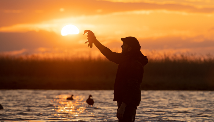 fermeture de la chasse au gibier d’eau et aux migrateurs Pyrénées atlantiques