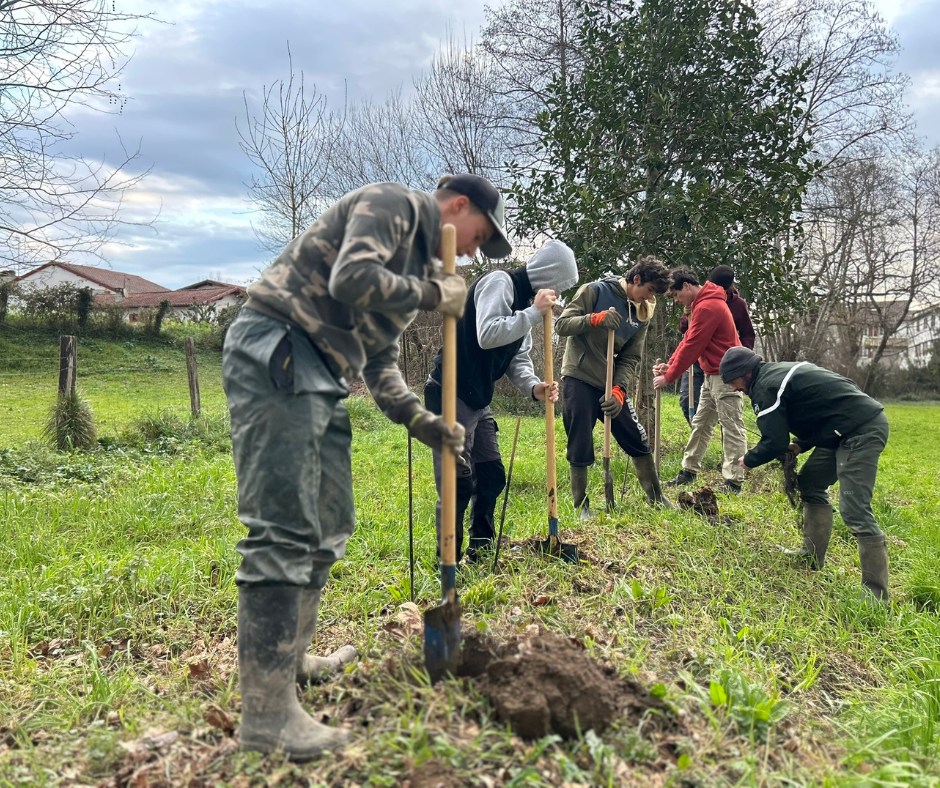 chantier-plantation-haie-biodiversite