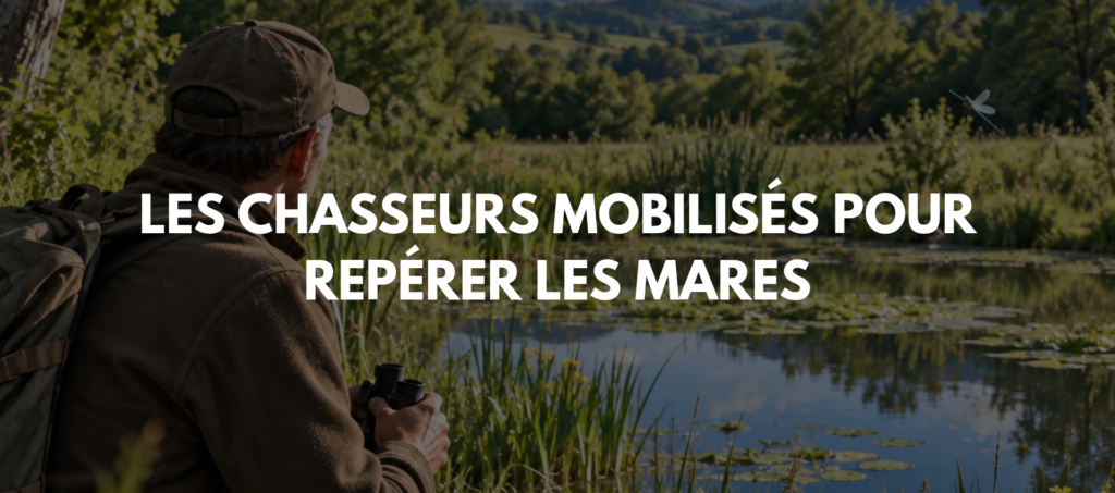 Les chasseurs mobilisés pour repérer les mares